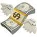 money with wings